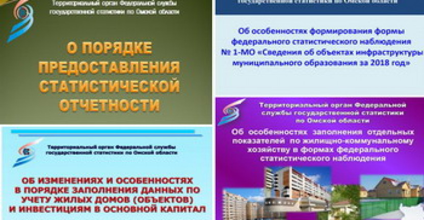 Омскстат провел видеосеминары для органов местного самоуправления