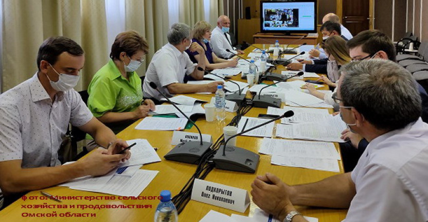 Омскстат принял участие в публичных слушаниях Программы развития АПК Омской области