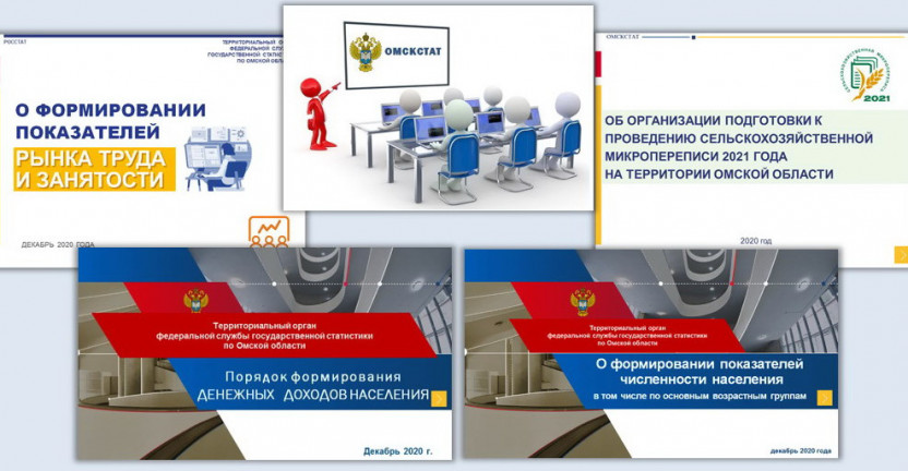 Омскстат провел серию вебинаров для представителей органов исполнительной власти Омской области