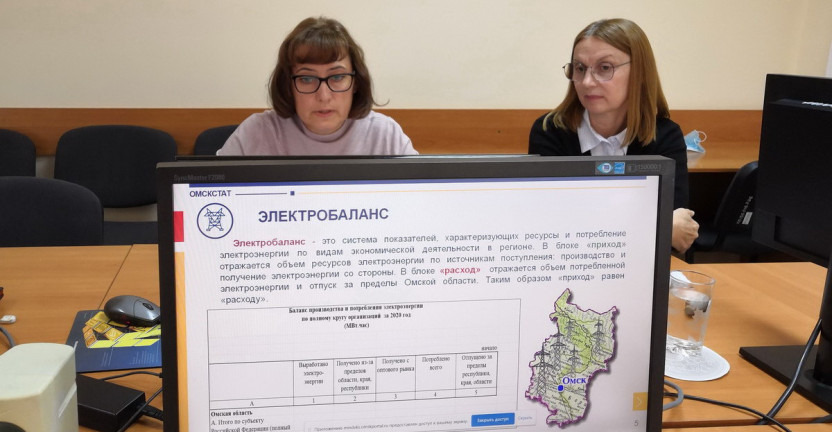Омскстат провел вебинар для представителей органов исполнительной власти Омской области