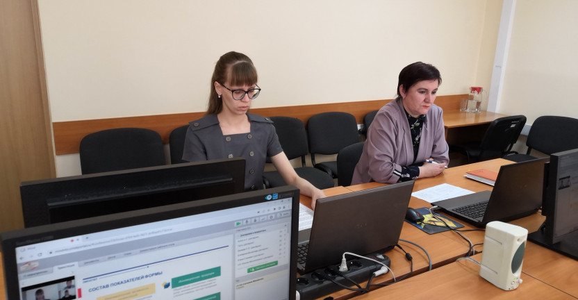 Продолжена практика онлайн-обучения Омскстатом сотрудников органов исполнительной власти Омской области