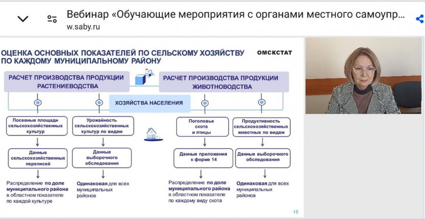 Проведен вебинар для представителей органов местного самоуправления Омской области